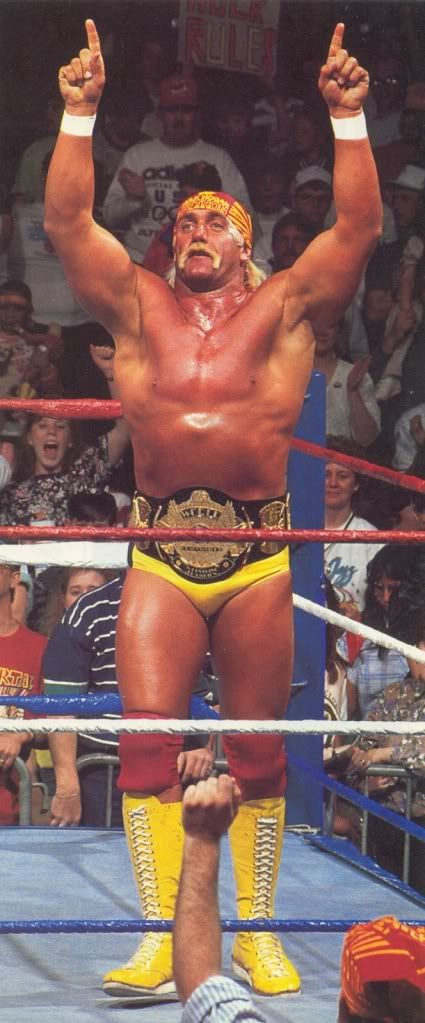 Hulk Hogan Professional Wrestling, Wwe Hulk Hogan, Wwe Wallpapers, Hottest Male Celebrities, Hulk Hogan, Wrestling Superstars, World Champion, Hair Clothes, Wwe Superstars