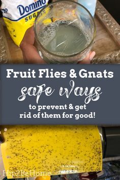 How To Remove Fruit Flies, Get Rid Of Nats House, How To Rid Fruit Flies, How To Get Rid Of Nats In The Kitchen, Catch Fruit Flies In House, Rid Of Fruit Flies In House, How To Get Rid Of Fruit Flies And Nats, How To Catch Fruit Flies In The House, How To Get Rid Of Gnats In The Kitchen