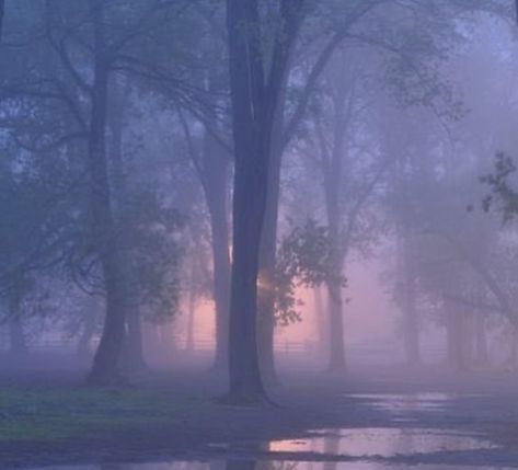 ༺♡༻ on Twitter: "soft misty mornings like this are so dreamy… " Ethereal Aesthetic, Lavender Aesthetic, Images Esthétiques, + Core + Aesthetic, Aesthetic Images, Nature Aesthetic, Purple Aesthetic, Pretty Places, Sky Aesthetic