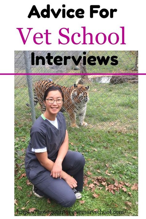 After making her decision to apply to veterinary school, Tobi used her proximity to the vets she worked with to “become the willing recipient of the knowledge they poured out!” #vetschool #MSU #vetmed #vetstudent #vettechlife #animallover #ilovecats #veterinarycollege #DVM #college Veterinarians Medicine, Vet Notes, Vet Tech School, Biology College, Veterinary Tech, Vet Tech Student, Nursing School Scholarships, Equine Veterinary, School Interview