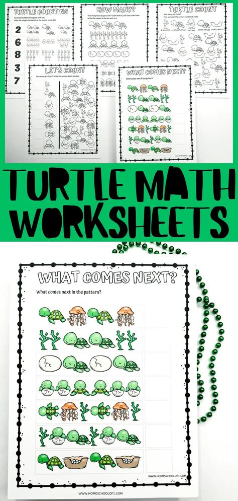 5 Free Turtle Math Worksheets for Preschoolers Turtle Worksheet, Math Worksheets For Preschoolers, Math Counting Worksheets, Turtle Activities, Roll And Cover, Patriotic Activities, Worksheets For Preschoolers, Word Search Printables, Counting Worksheets