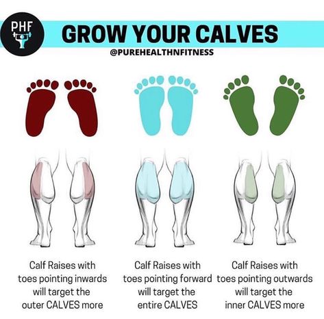 Healthy Calories on Instagram: “FOLLOW➡️ @healthy.calories.world  By @purehealthnfitness . . . #weightloss #weightlossjourney #foodporn #weightlossplan #diet #dieting…” How To Grow Calf Muscles, How To Grow Your Calves, How To Grow Calves, Grow Calves, Grow Your Calves, Calf Muscle Workout, Toned Calves, Strong Calves, Bigger Calves