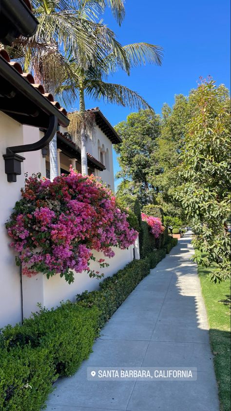 Ca Aesthetics, Santa Barbara California Aesthetic, California Home Aesthetic, La Vibes Aesthetic, California Aesthetic Home, Santa Barbara Aesthetic, Spring In California, Cali Aesthetic, California Houses