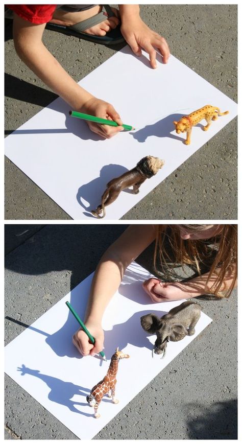 Trace toy animal shadows. Drawing Activities For Preschoolers, Preschool Animal Art, Lion Preschool Activities, Wildlife Crafts, Animal Shadow, Jungle Activities, Shadow Activities, Zoo Preschool, Jungle Crafts