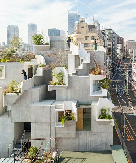 akihisa hirata tangles indoor and outdoor spaces for 'tree-ness house' in tokyo  Only in Japan! Such perfect use of nature in harmony with architecture and inner city living! Toyo Ito, Japanese Architecture, Tokyo Architecture, Tokyo Apartment, Japan Architecture, Desain Lanskap, Japanese Architect, Apartment Architecture, Architecture Office