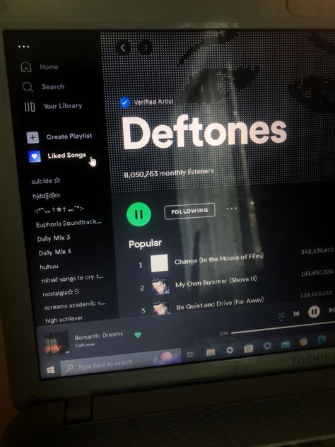 Hole In The Earth Deftones, Deftones Lockscreen, Deftones Playlist, Deftones Quotes, Deftones Background, Deftones Aesthetics, Deftones Core, Deftones Concert, Deftones Pfp