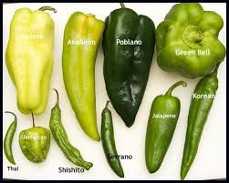 20 Different Types of Peppers and Their Delicious Uses Pepper Chart, Types Of Peppers, Chile Peppers, Salsa Picante, Baked Apple Pie, Olive Oil Cake, Chile Pepper, Chilli Pepper, Food Info