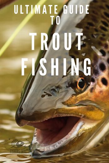 How To Catch Trout, Fishing Umbrella, Fishing Pond, Rainbow Trout Fishing, Fishing Basics, Trout Fishing Tips, Fishing For Beginners, Fly Fishing Tips, Fishing Rigs