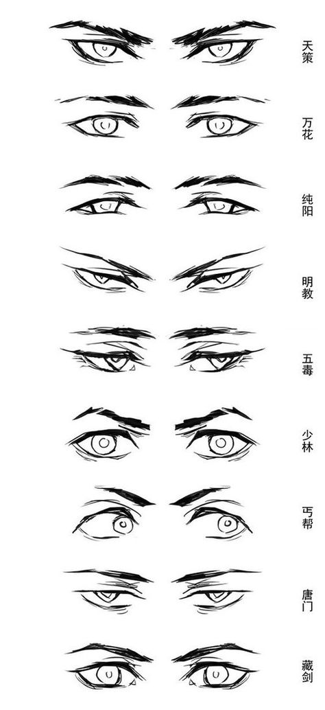 Character Anatomy | Eyes Drawing Eyes, Villain Face Reference, Mata Manga, Regard Animal, Mata Anime, Eye Anatomy, Drawing Face Expressions, Eye Drawing Tutorials, 그림 낙서