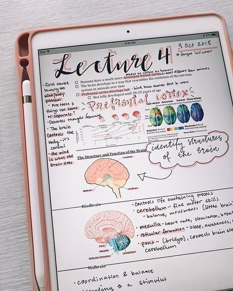 Notes College, Notes School, Ipad Notes, Notes Aesthetic, College Notes, School Organization Notes, Study Organization, School Study, Notes Inspiration