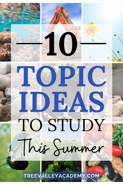 Fun Topics To Learn About, Summer Home School Themes, Homeschool Summer Ideas, Summer Homeschool Ideas, Homeschooling Elementary, Summer Plan, Summer Homeschool, Summer Science, Father's Day Activities