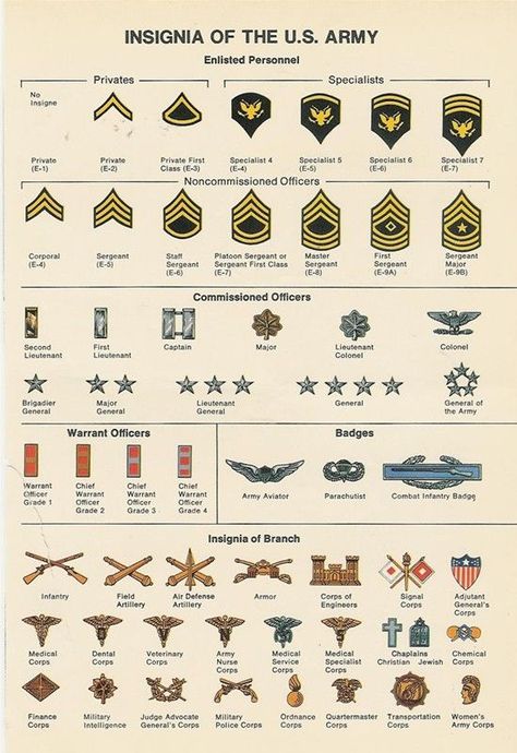 Ranks In The Army, Army Ranks Chart, British Army Ranks, Military Ranks Chart, U.s. Army, Miejski Survival, Vojenský Humor, Army Insignia, Army Symbol