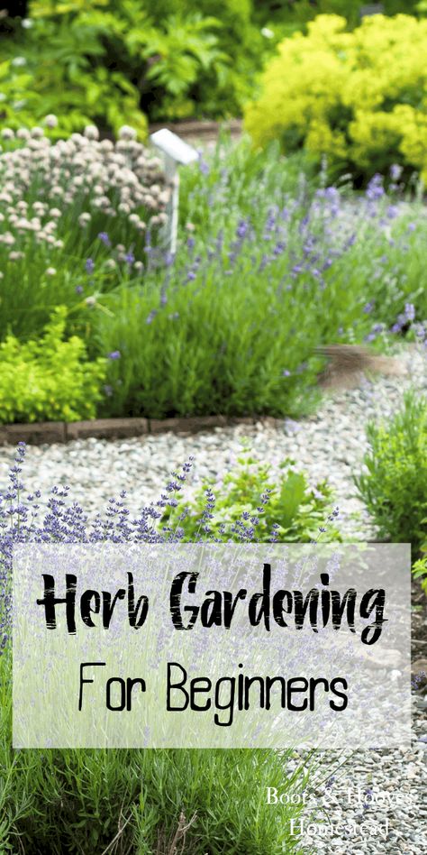 Herb gardening for beginners. Get tips, tricks, and learn the basics of starting an herb garden. Herb Gardens Indoors, Veg And Herb Garden Ideas, Heb Garden Ideas, Herb Garden Soil, Herb Growing Calendar, Garden Spices Herbs Ideas, Low Maintenance Herb Garden, Spices Garden Ideas, How Often To Water Herbs