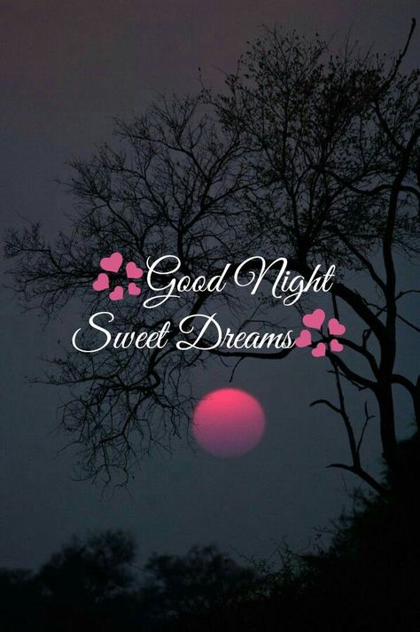 Good Night Greetings Quotes, Goodnight Friends Sweet Dreams, Gn Quotes Night, Good Night Sweet Dreams My Love, Good Night Blessings For Him, Good Nite Sweet Dreams Nighty Night, Good Night Sweet Dreams Cute Beautiful, Good Night Wishes Good Night Wishes Beautiful, Beautiful Good Night Images Sweet Dreams