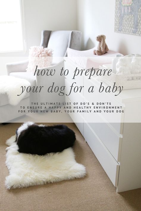 Baby Planning, Baby Prep, Baby Sleep Problems, Preparing For Baby, Baby Time, Baby On The Way, Everything Baby, Baby Hacks, Baby Dogs