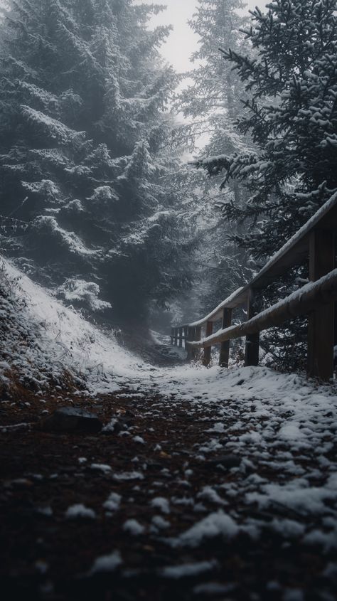 a path in the woods covered in snow photo – Free Switzerland Image on Unsplash Nature, Bonito, Winter Woods Aesthetic, Winter Woods Wallpaper, Winter Wallpaper Dark, Snow Forest Wallpaper, Dark Snow Aesthetic, Winter Wallpaper Aesthetic, Dark Winter Aesthetic