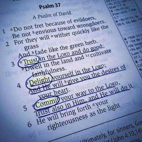 The Desires Of Your Heart Scripture, The Lords Promises, Commit Your Ways To The Lord, Psalm 37:3-4, Psalm 3:5, Commit To The Lord Whatever You Do, Psalm 37 4-5, Delight Yourself In The Lord Quotes, Psalm 37:4