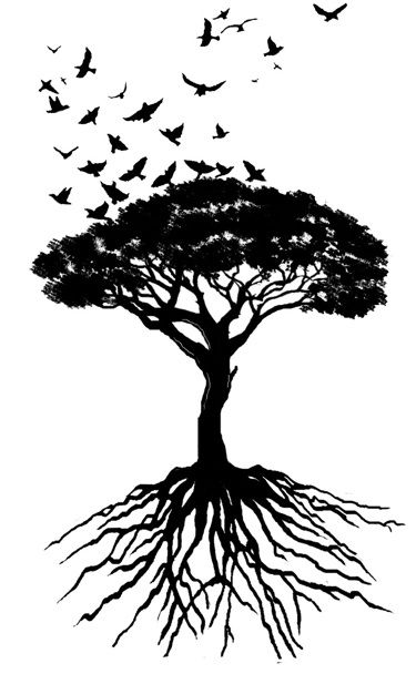 Beauty. Smaller roots, but like this to cover my side tattoo. Love this. Tatoo Tree, Family Tree Drawing, Bird Tattoos Arm, Oak Tree Tattoo, African Tree, Tattoo Tree, Family Tree Tattoo, Pokemon Tattoo, Tree Tattoo Designs