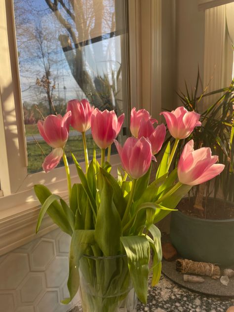 Boquette Flowers, Nothing But Flowers, Flower Therapy, Spring Tulips, Beautiful Bouquet Of Flowers, Flowers Spring, Spring Aesthetic, Pink Tulips, Tulips Flowers