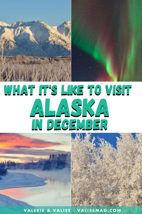 Things To Do In Alaska In Winter, Alaska Winter Travel, Winter In Alaska, Alaska In December, Alaska In November, Christmas In Alaska, Fairbanks Alaska Winter, Alaska In Winter, Alaska Honeymoon