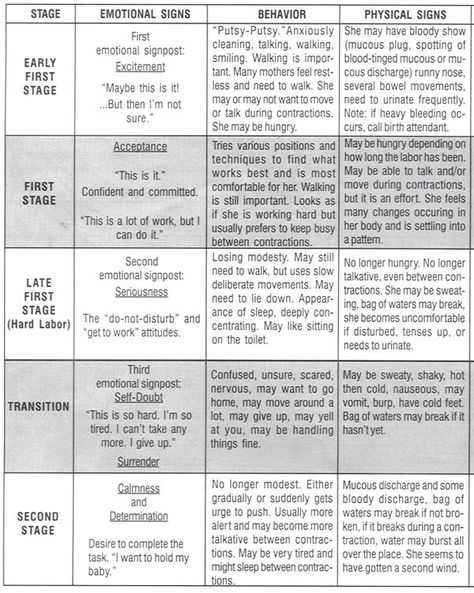 Explore the stages of labor with your birthing team, finding a position guide, stages of labor chart, and more to plan ahead for your childbirth experience. Charting Note Taking Method, Bradley Birthing Method, Bradley Method Cheat Sheet, The Bradley Method, Bradley Method Birth Plan, Stages Of Labor Chart, Labor Stages, Bradley Method, Labor Doula