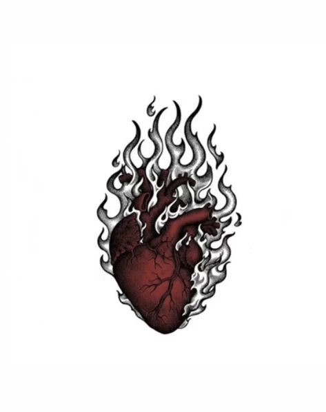 Heart In Flames Drawing, Heart With Flames Drawing, Heart With Fire Drawing, Heart On Fire Illustration, Hearts On Fire Tattoo, Heart On Flames Tattoo, Heart And Head Tattoo, Anatomical Heart On Fire Tattoo, Heart And Fire Tattoo