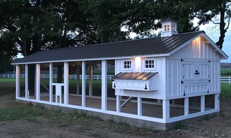 Carolina Coop, Large Chicken Coop Plans, Walk In Chicken Coop, Cute Chicken Coops, Chicken Shed, Chicken Barn, Chicken Coop Garden, Chicken Coop Run, Backyard Chicken Coop Plans