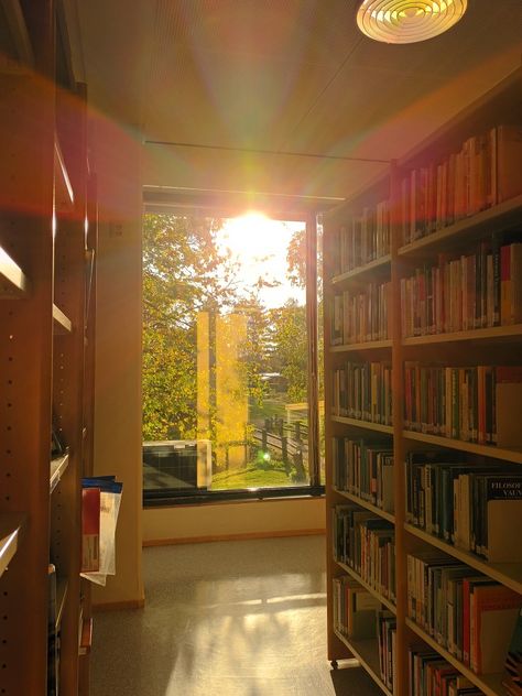 sunny day at library Nature, Sunny Library Aesthetic, Sunny Studying Aesthetic, Sunny Spring Aesthetic, Sunny Fall Aesthetic, Sunny Library, Sunny Days Aesthetic, Brenna Core, Sunny Core