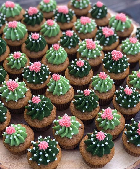 Cupcake Decoration Birthday, Succulents Cupcakes Diy, Pull Apart Cactus Cupcake Cake, 30 Birthday Cupcakes For Him, Cute Spring Cupcake Ideas, Cool Cupcake Decorating Ideas, Mexican Fiesta Cupcake Ideas, Western Party Cupcakes, Desert Theme Cupcakes