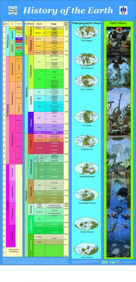 History of the Earth Infographic World History, Earth Science, Middle School Science, History Of Earth, Geology Rocks, History Timeline, Fun Science, Of The Earth, Science And Nature