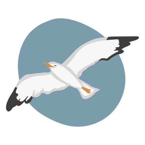 Fly gull color animal flat #AD , #AFF, #AFF, #gull, #flat, #animal, #Fly Seagull Drawing, Seagull Painting, Seagull Illustration, Seagull Tattoo, Seagull Flying, Seagulls Flying, Color Pencil Art, Sea Birds, Bird Drawings