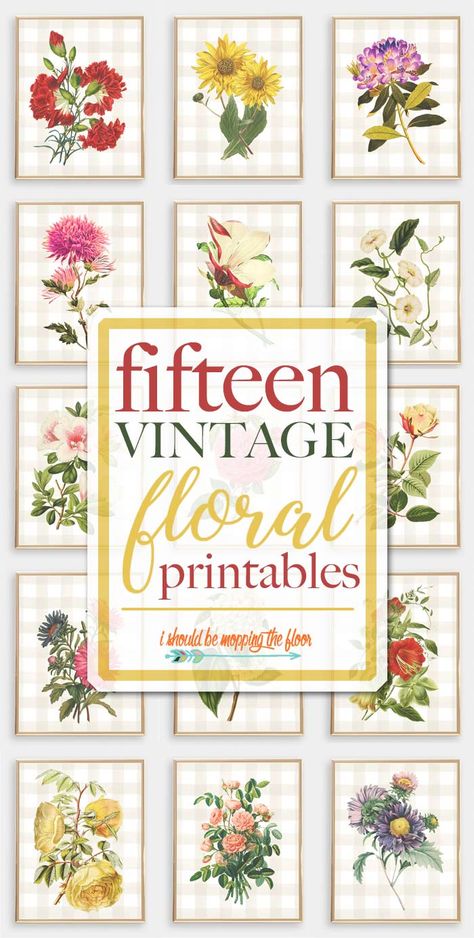 Birthday Card Printable Free, Botanical Prints Free, Ideas Birthday Card, Botanical Printables, Spring Printables, Free Vintage Printables, Vintage Florals, Free Printable Wall Art, Free Printable Art