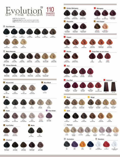 Alfaparf Milano Evolution of the Color³ Wall Chart Clairol Hair Color Chart, Ash Green Hair Color, Professional Hair Color Chart, Ash Green Hair, Hair Dye Color Chart, Hair Color Names, Hair Color Swatches, Clairol Hair Color, Hair Chart