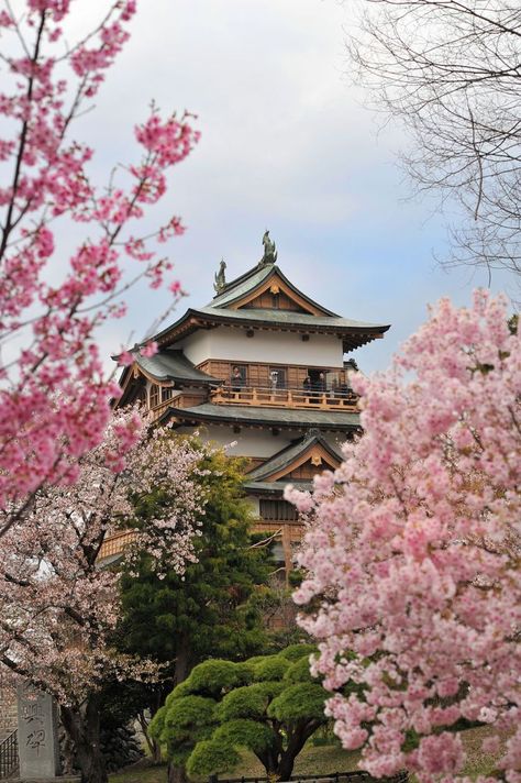 Tokyo Japan, Asia Travel, Cherry Blossoms, Japan Sakura, Japanese Castle, Japan Aesthetic, Aesthetic Japan, Japanese Garden, Japanese Culture