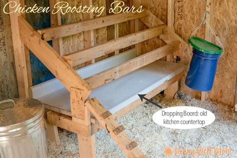 Chicken Roosting Bars, Roosting Bars, Chicken Roost, Cute Chicken Coops, Chicken Coop Garden, Chicken Poop, Portable Chicken Coop, Chicken Coop Run, Backyard Chicken Coop Plans