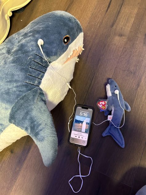 Scott street 
Sharks 
BLÅHAJ
Phoebe Bridgers 
Stranger in the alps
Music Shark Pfps Matching, Shark With Headphones, Blajah Shark, Cute Shark Things, Cute Shark Stuff, Shark Pfp Matching, Shark Matching Pfp, Shark Aesthetics, Blahaj Shark