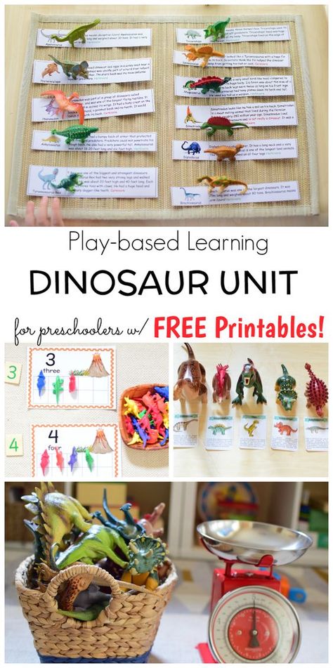 Dinosaur Unit for Preschoolers with FREE PRINTABLES! Montessori, Amigurumi Patterns, Dino Preschool, Dinosaur Activities For Preschoolers, Printables Organizational, Curriculum Themes, Dinosaur Unit Study, Preschool Dinosaur, Dinosaur Classroom