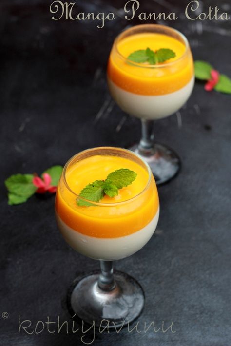 Flan, Panacota Recipe, Mango Panna Cotta Recipe, Gelee Recipe, White Chocolate Panna Cotta, Mango Panna Cotta, Chocolate Panna Cotta, Coconut Panna Cotta, Pana Cotta