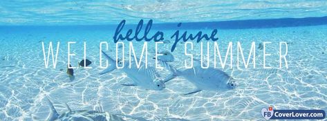 Fbcoverlover : Hello June Welcome Summer - Facebook Cover - FREE Download seasonal Facebook covers photo Tumblr, Summer Facebook Cover Photos, Summer Cover Photos, Fb Background, Free Facebook Cover Photos, Timeline Cover Photos, Facebook Cover Quotes, Fb Banner, Hello June