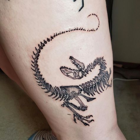 Fossil Tattoo, Velociraptor Tattoo, Aesthetic Dinosaur, Jurassic Park Tattoo, Personal Tattoos, Real Aesthetic, Dinosaur Tattoo, Mesozoic Era, Taboo Tattoo