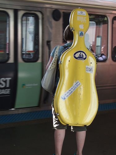 Double Bass, Cello Case, Yellow Case, Cello Music, Music Images, Taking Over The World, Music Photo, Music Room, Music Love