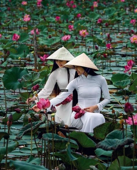 Girls in Vietnamese traditional clothes are picking lotus flowers which are the national flower of Vietnam ~.~ Traditional Vietnamese Clothing, Vietnamese Traditional Clothing, Vietnam Clothes, Vietnamese Clothing, Vietnam Art, Vietnam Tours, Backpacking Asia, National Flower, South China Sea