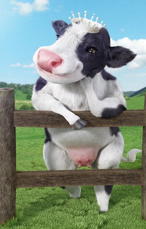 Cow Videos, Cute Calf, Cool Animals, Cute Small Animals, Baby Cow, Baby Cows, About Animals, Animals Of The World, Adorable Baby