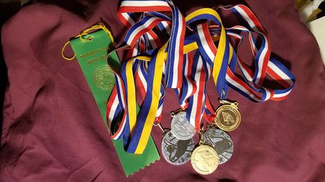 Sprinter Aimé Torbert's Track and Field Medals for 2017 Track Medals Aesthetic, Track And Field Medals, Sprinter Aesthetic, Medals Aesthetic, Track Medals, Debate Aesthetic, High Honors, Fields Medal, Vision Board Pics