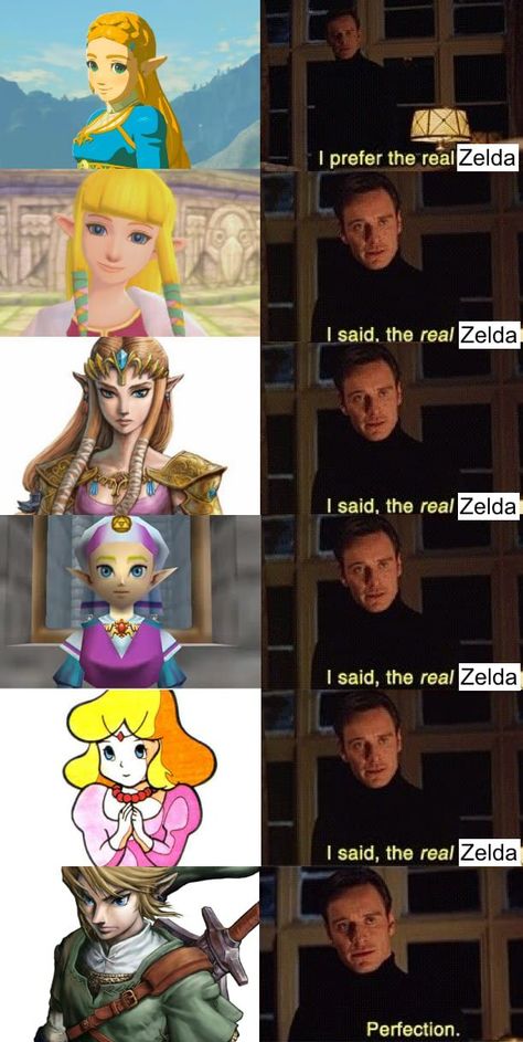 Princesa Zelda, Zelda Funny, Legend Of Zelda Memes, Video Game Memes, Link Zelda, Zelda Art, Legend Of Zelda Breath, Zelda Breath, Twilight Princess