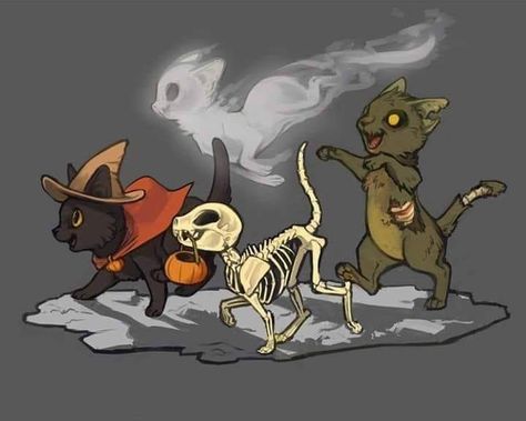 A picture of four kittens, one in a witches hat with a cape, a skeleton kitten with a pumpkin, a ghost kitten, and a zombie kitten. Halloween spooky themed. Asthetic drawing. Cat Art, Halloween Art, Zombie Cat, Halloween Drawings, Arte Horror, Cat Drawing, Halloween Cat, Animal Drawings, Zombie