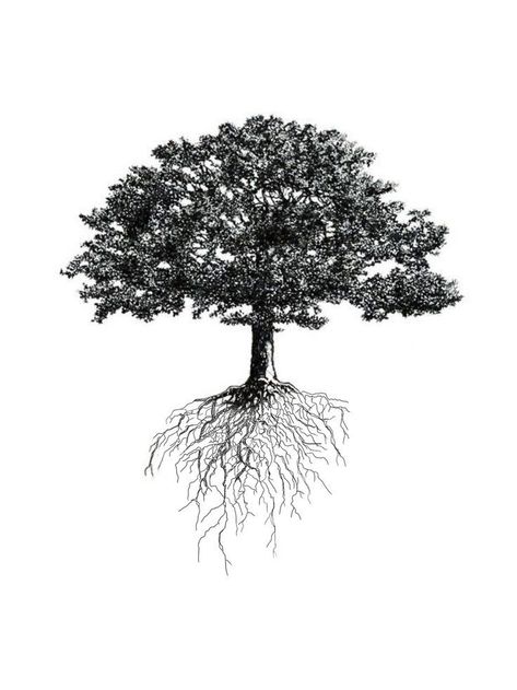 Tantalizing Tree Tattoos proven to be Remarkably Meaningful Tree Tattoo With Roots, Bonsai Tattoo, Tree Tattoo Black, Tatoo Tree, Tato Mandala, Roots Drawing, Bonsai Tree Tattoos, Tree Tat, Tree Roots Tattoo