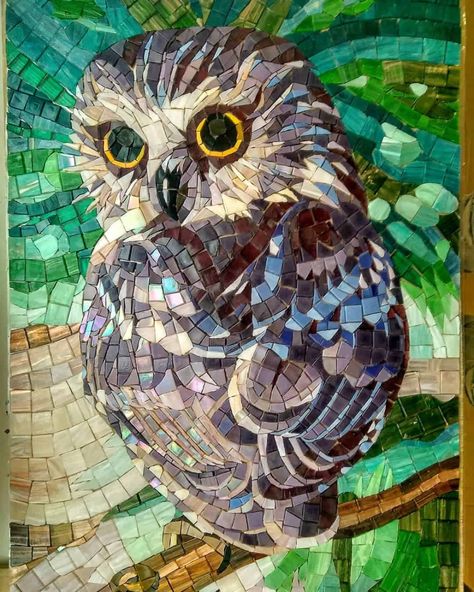 Upcycling, Mosaic Owl, Animal Mosaic, Owl Mosaic, Stained Glass Mosaic Art, Mosaic Art Diy, Mosiac Art, Mosaic Animals, Mosaic Garden Art