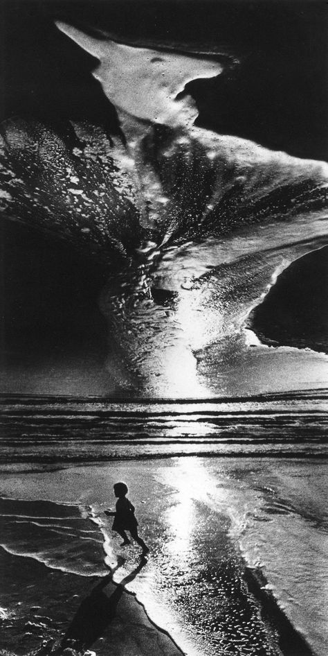 Vitaly Butyrin Eternal Call.  1980s. Nature, Surreal Photos, Black N White Images, Abstract Nature, Close Image, Black And White Photographs, Nature Pictures, Nature Photos, Land Scape