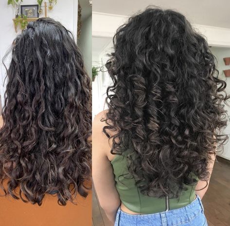 Layered Hair Cuts For Long Wavy Hair, 2c Curly Hair Haircuts Long, Silhouette Layers Curly Hair, Deva Cut Wavy Hair, Natural Wavy Haircut Layered Hairstyles, Long Layered Curly Hair Natural Curls, Long Curly Hair Layers, Long Curly Haircuts With Layers Natural Curls, Curly Hair Layers Long